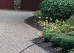 Residential Lawn Maintenance