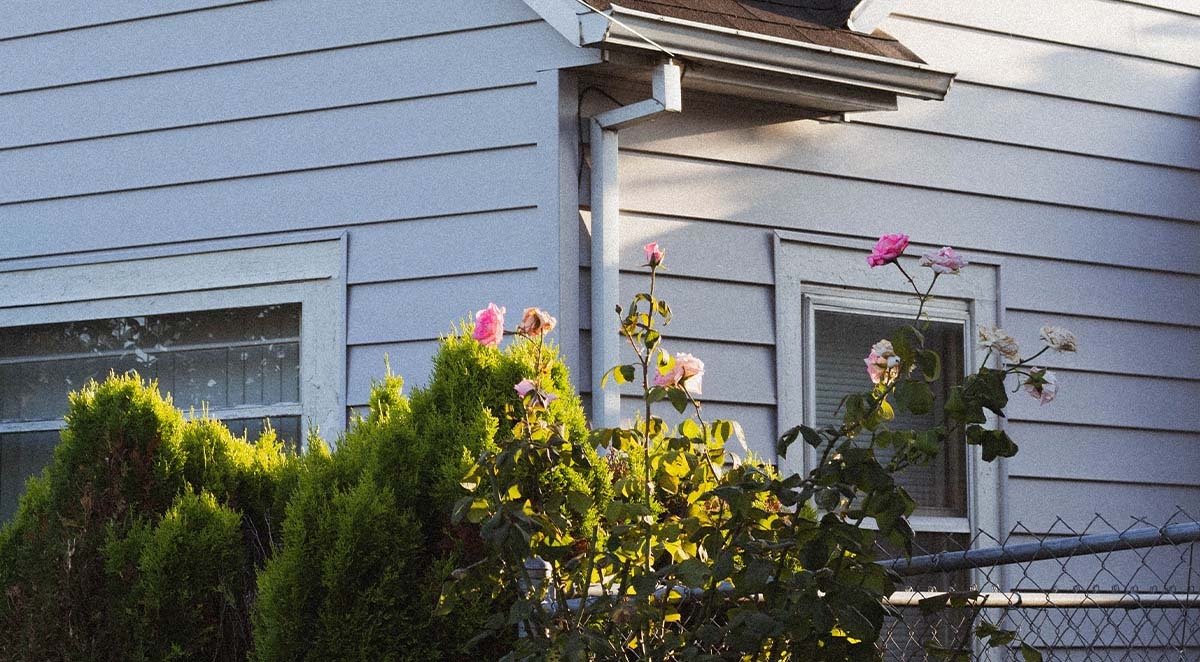 will pressure washing home kill plants